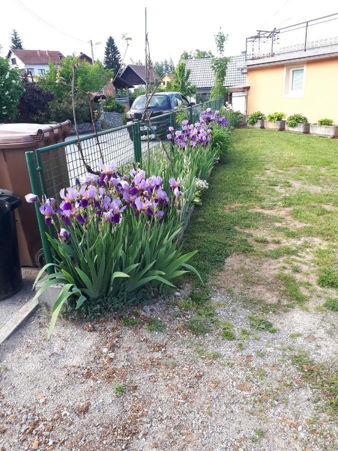 Iris Room & Apartment Слунь Екстер'єр фото