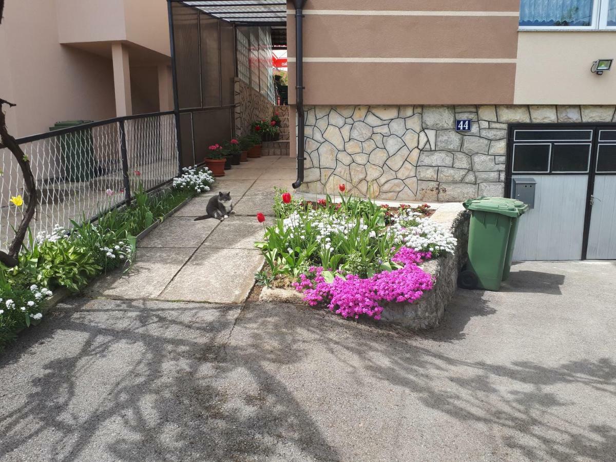 Iris Room & Apartment Слунь Екстер'єр фото