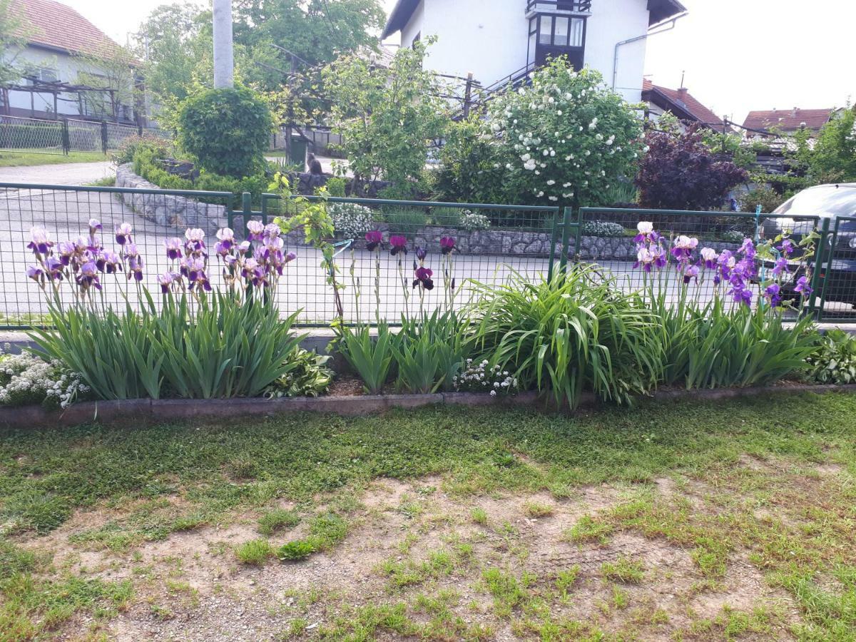 Iris Room & Apartment Слунь Екстер'єр фото